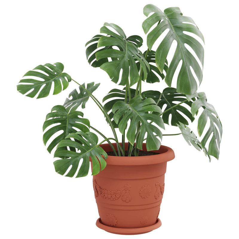 Afbeelding laden in galerijviewer, Vidaxl plantenpotten 24 pcs baksteenrood ø 26 x 21.5 cm kunststof
