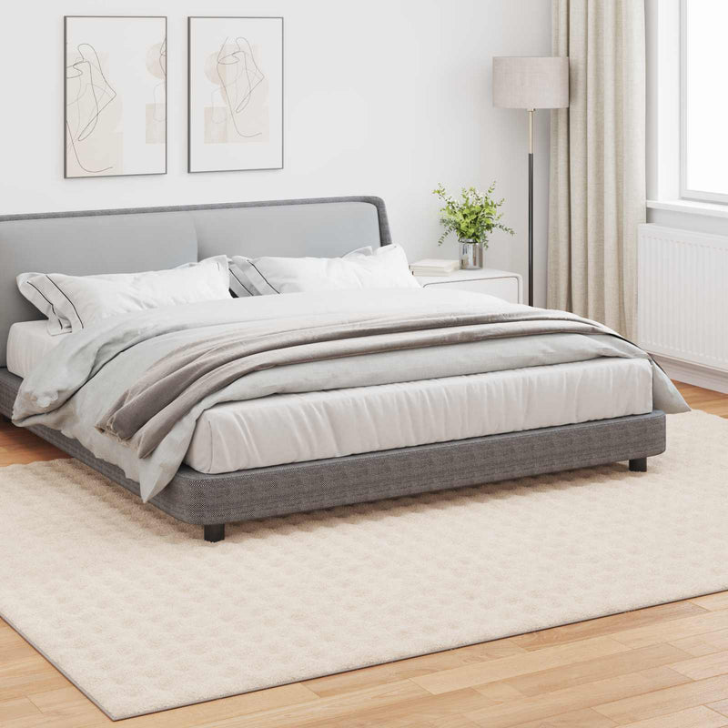 Afbeelding laden in galerijviewer, Vidaxl binnen kleed sirolo beige 200 x 280 cm polyester medium pile
