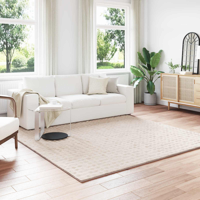 Afbeelding laden in galerijviewer, Vidaxl vloerkleden vierkant sirolo beige 240 x 240 cm polyester
