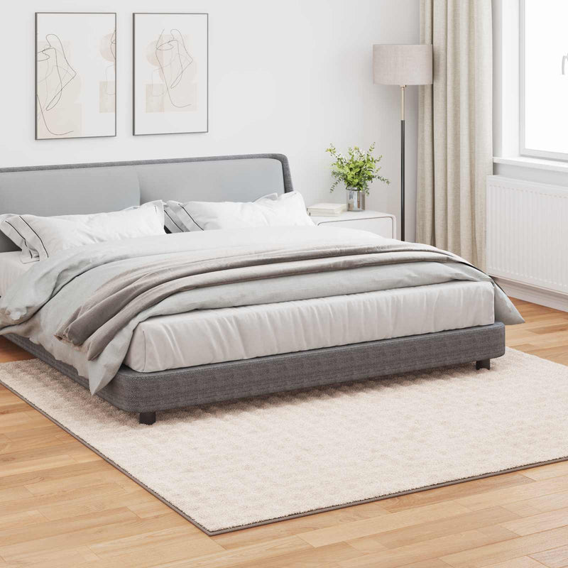 Afbeelding laden in galerijviewer, Vidaxl vloerkleden vierkant sirolo beige 240 x 240 cm polyester
