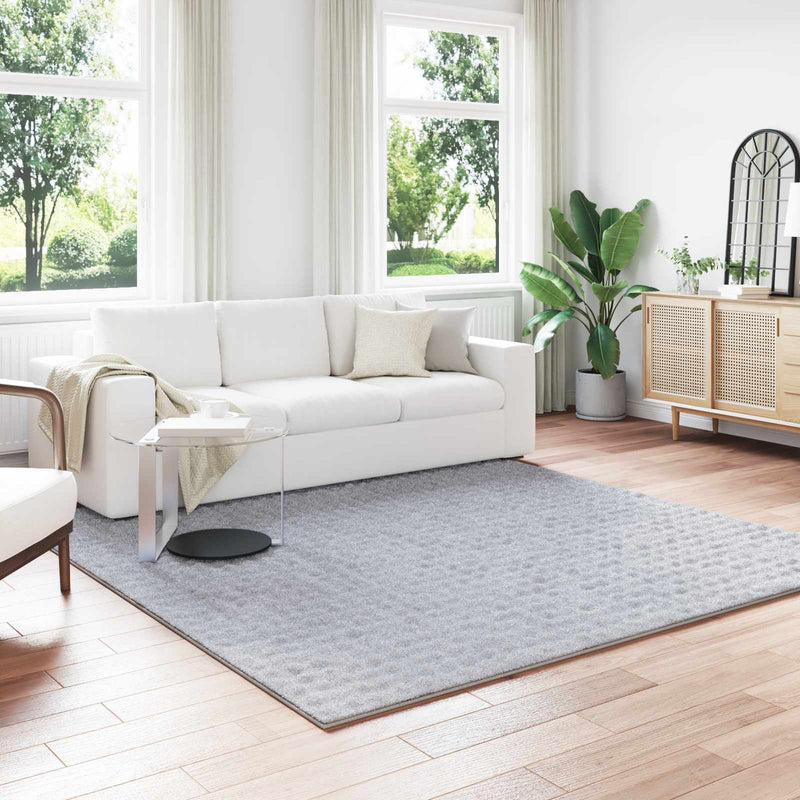Afbeelding laden in galerijviewer, Vidaxl vloerkleden vierkant sirolo grijs 240 x 240 cm polyester
