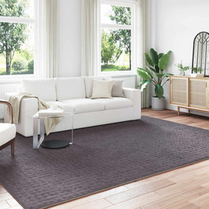 Vidaxl binnen kleed sirolo antraciet 240 x 340 cm polyester