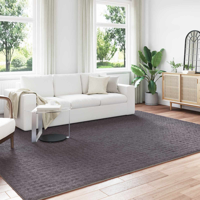 Afbeelding laden in galerijviewer, Vidaxl binnen kleed sirolo antraciet 240 x 340 cm polyester
