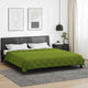 Vidaxl vol jaar dekbed groen 240 x 200 cm microfiber