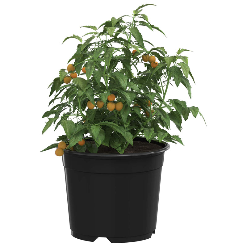 Afbeelding laden in galerijviewer, Vidaxl ronde bloempot 200 st zwart ø 10 x 8 cm kunststof
