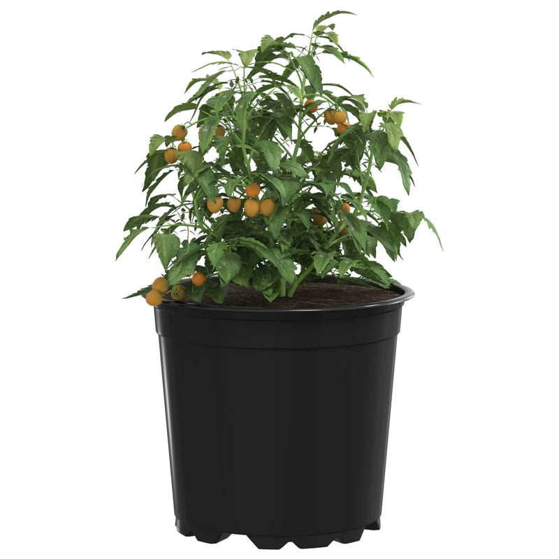 Afbeelding laden in galerijviewer, Vidaxl ronde bloempot 50 st zwart ø 15 x 13 cm kunststof
