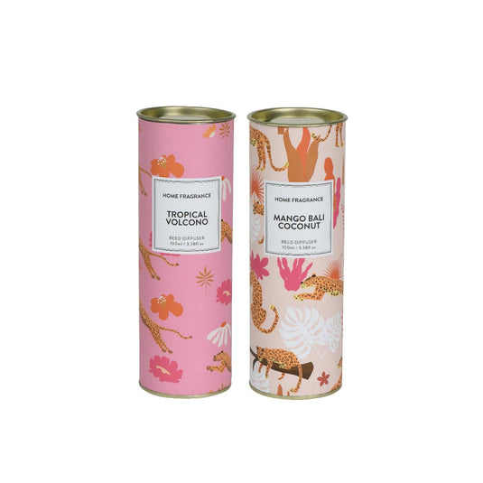 Decoris diffuser glas in koker 100ml ø6,5xh18,5cm 2 assorti