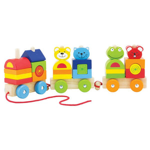 Pintoy 4 friends houten blokken trein