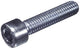 Dresselhaus kaaskopschroef 0300 cylindrical with inner6ct m5x10 500st pk