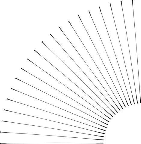 Afbeelding laden in galerijviewer, Sapim cx-ray straight pull spokes + nipples - 20-pack

