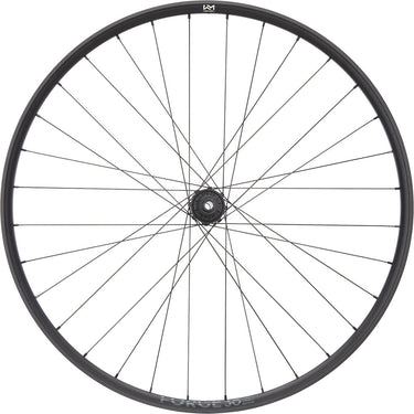 Newmen forge 30 dh 29 6-bolt 12x157 fade rear wheel