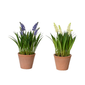 Decoris kunstplant druifjes in pot ø11xh26cm 2 assorti