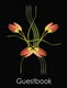 Guestbook double dutch tulips