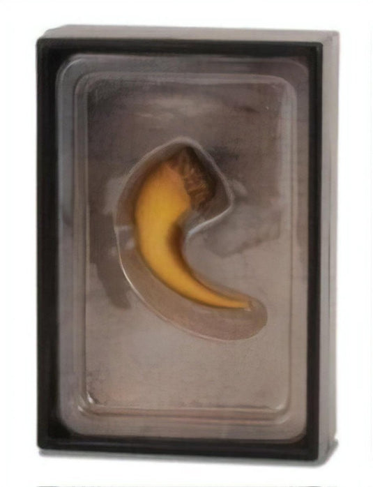 Collecta figurine gift set - baryonyx klauw