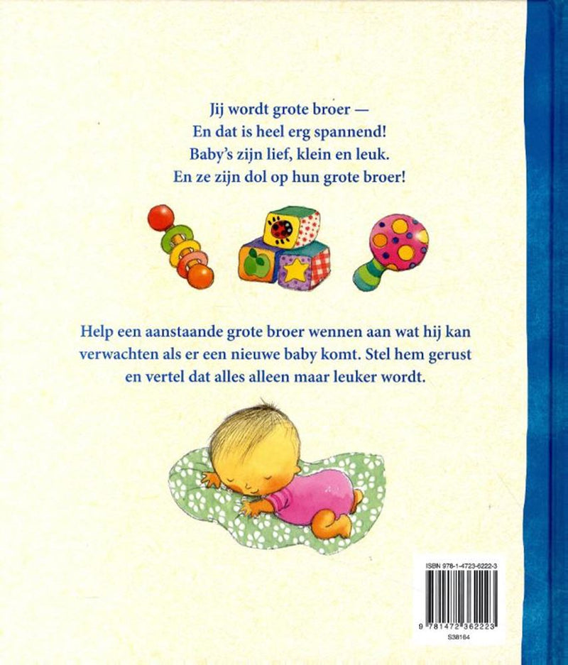 Afbeelding laden in galerijviewer, Rebo publishers ik ben je grote broer. 3+
