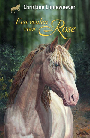 Kluitman gouden paarden - een veulen voor rose
