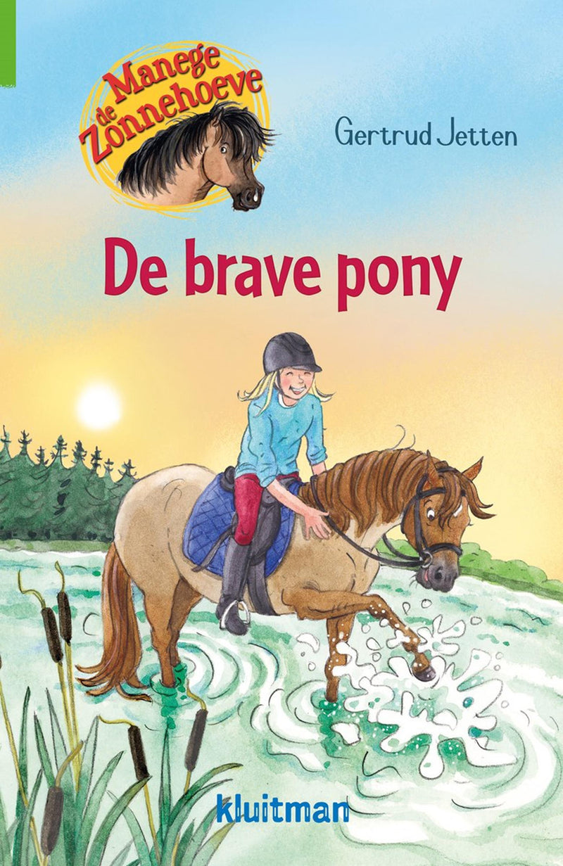 Afbeelding laden in galerijviewer, Kluitman manege de zonnehoeve. de brave pony
