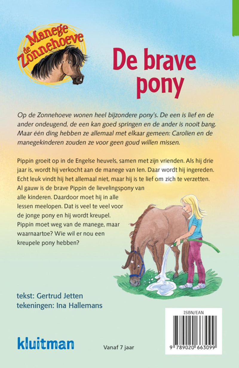 Afbeelding laden in galerijviewer, Kluitman manege de zonnehoeve. de brave pony
