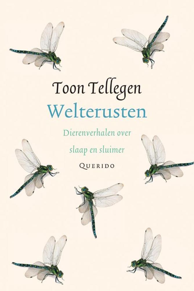 Afbeelding laden in galerijviewer, Toon tellegen: welterusten. cadeauboekje
