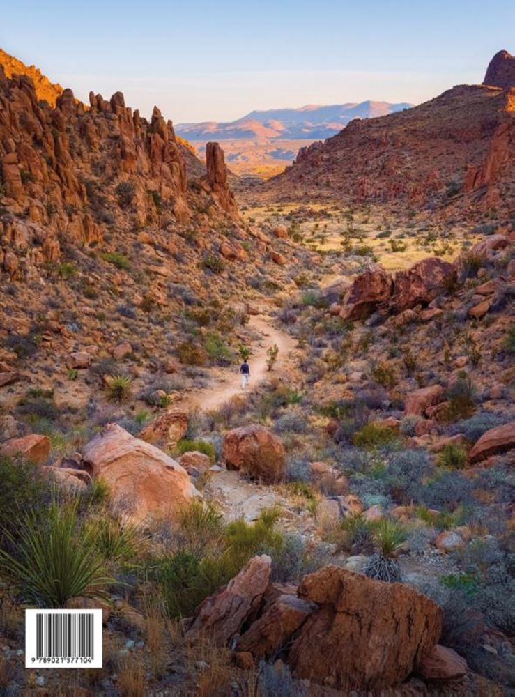 Afbeelding laden in galerijviewer, Wanderlust usa-gestalten
