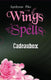 Cadeaubox wings. 15+