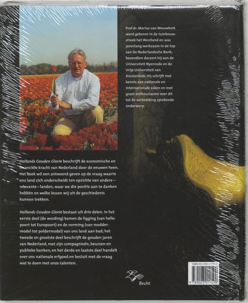 Afbeelding laden in galerijviewer, Hollands gouden glorie
