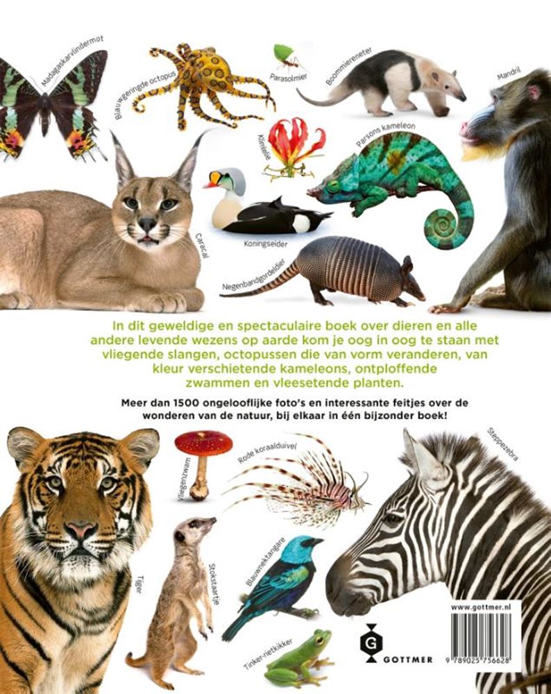 Afbeelding laden in galerijviewer, Het dierenboek. 8+
