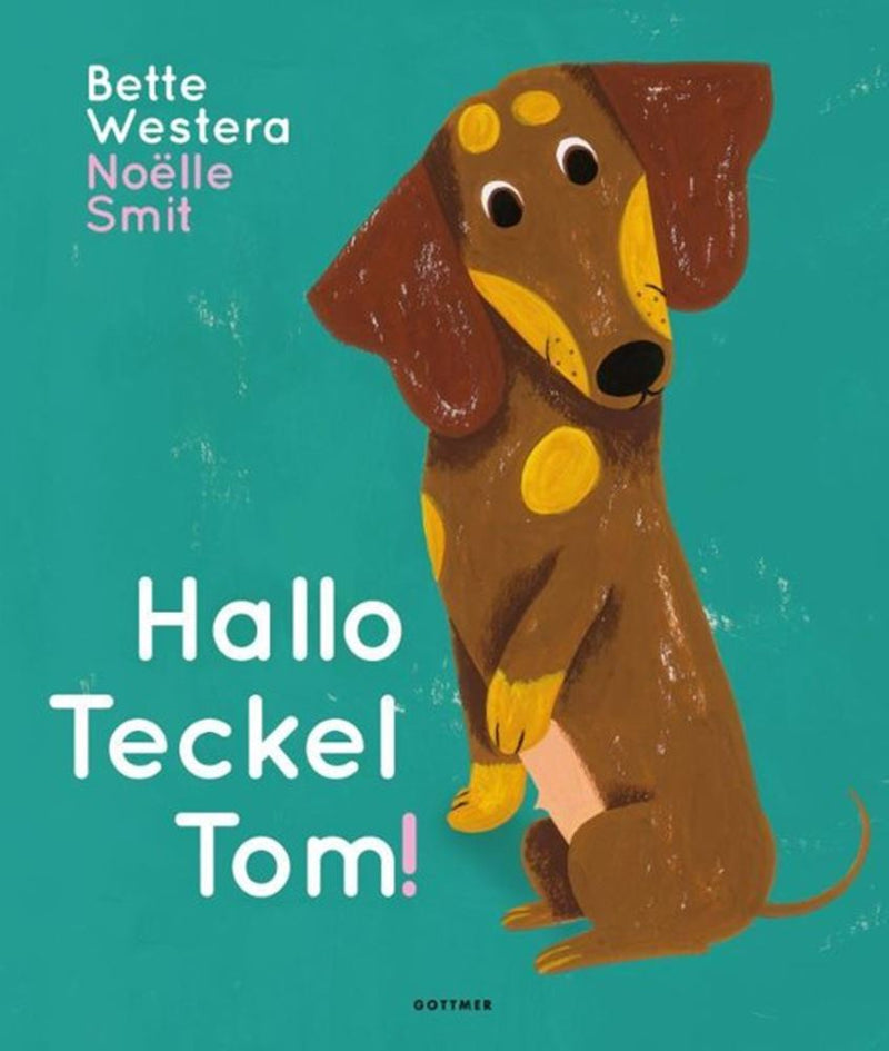 Afbeelding laden in galerijviewer, Imp hallo teckel tom. 3+ vlag en wels gri
