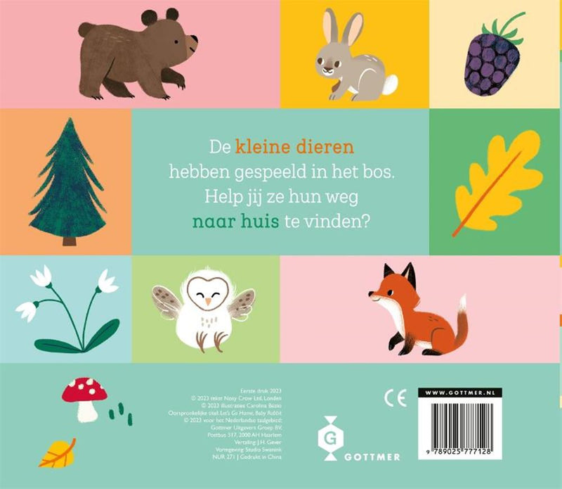 Afbeelding laden in galerijviewer, Schuifboekje: kom je thuis klein konijnt
