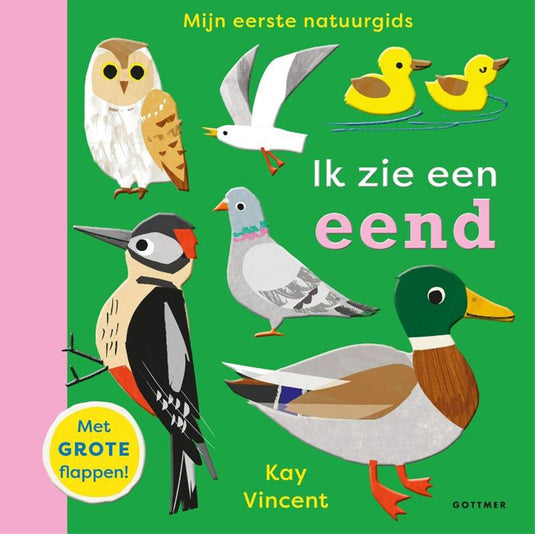 Ik zie een eend 2+