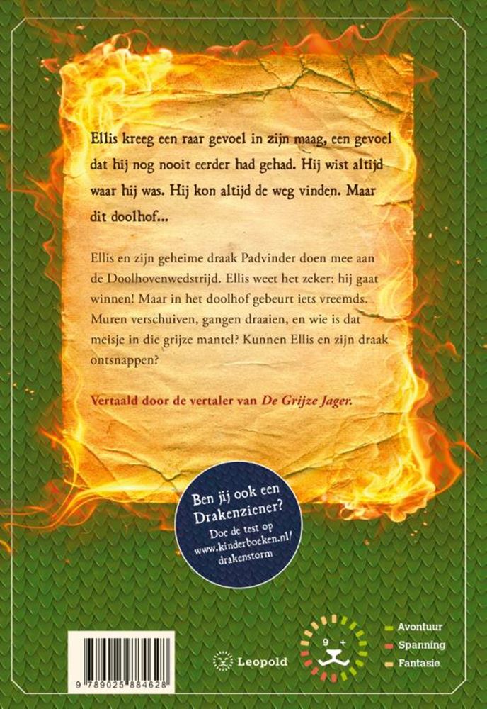 Afbeelding laden in galerijviewer, Drakenstorm, het duistere doolhof. 8+
