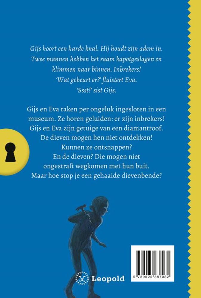 Afbeelding laden in galerijviewer, Het geheim van de duistere diamantroof
