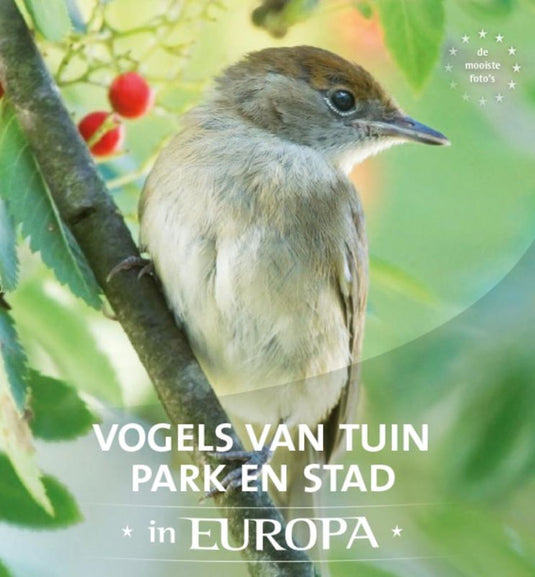 Vogels van tuin, park en stad in europa