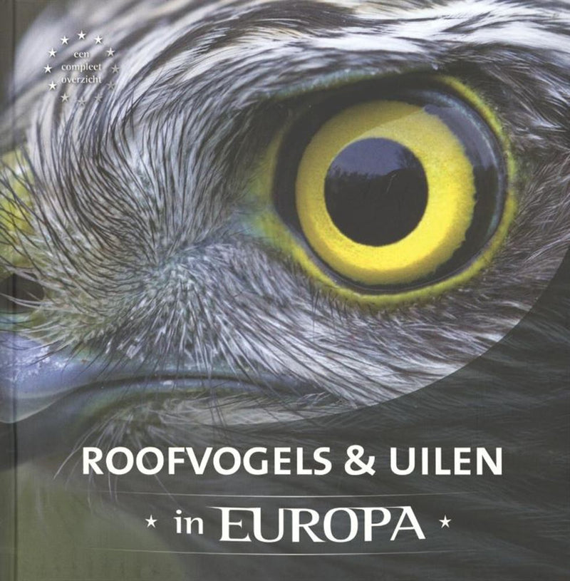 Afbeelding laden in galerijviewer, Roofvogels uilen in europa volwassene
