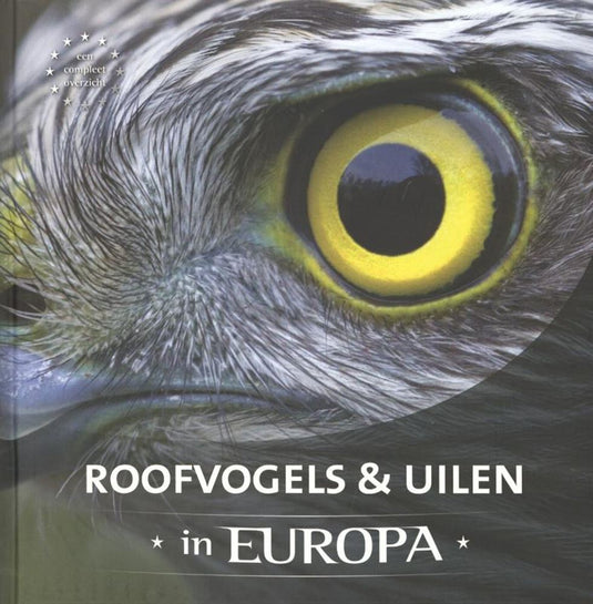 Roofvogels uilen in europa volwassene