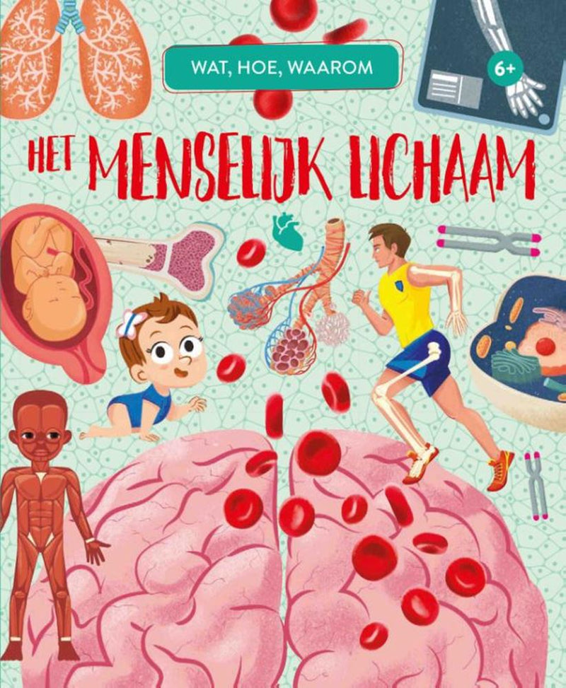 Afbeelding laden in galerijviewer, Het menselijk lichaam - wat, hoe, waarom
