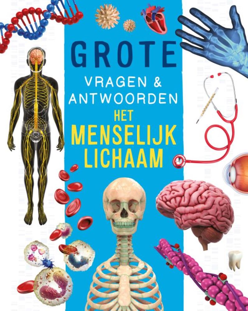 Afbeelding laden in galerijviewer, Rebo publishers het menselijk lichaam - grote vragen antwoorden
