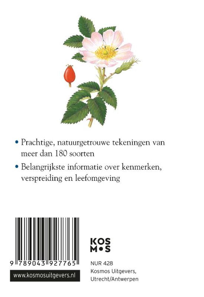 Afbeelding laden in galerijviewer, Compactgids: bloemen (pb)
