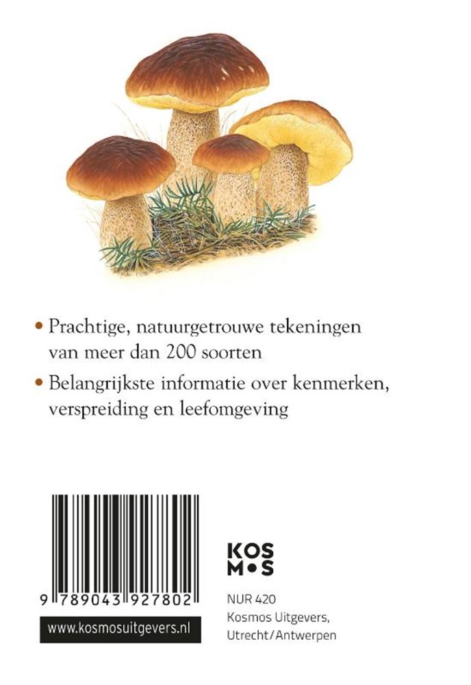 Afbeelding laden in galerijviewer, Compactgids: paddenstoelen (pb)
