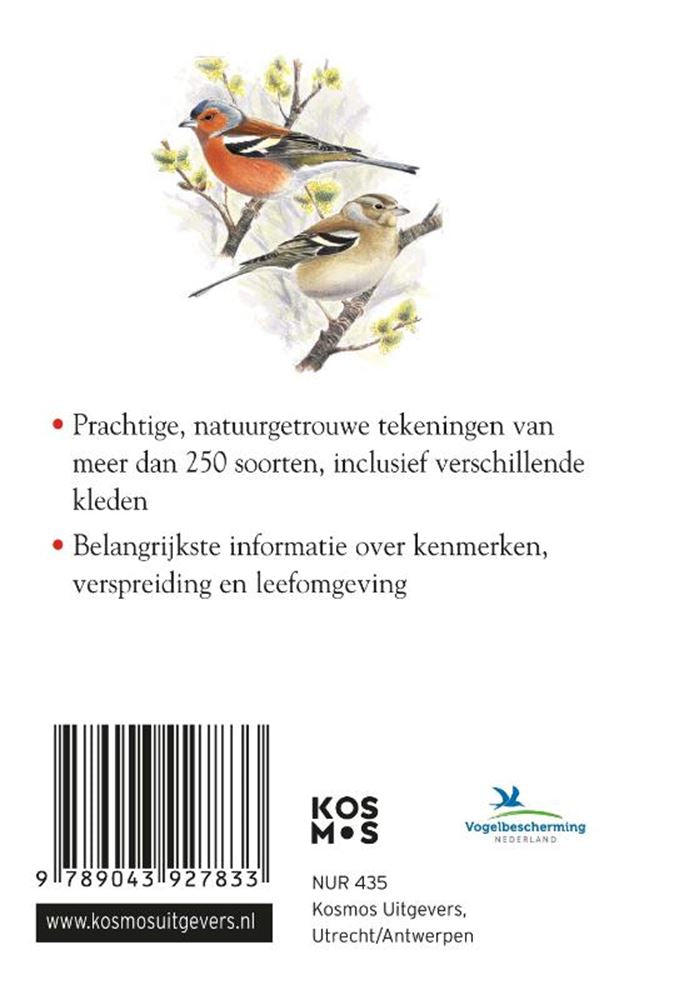 Afbeelding laden in galerijviewer, Compactgids: vogels (pb)
