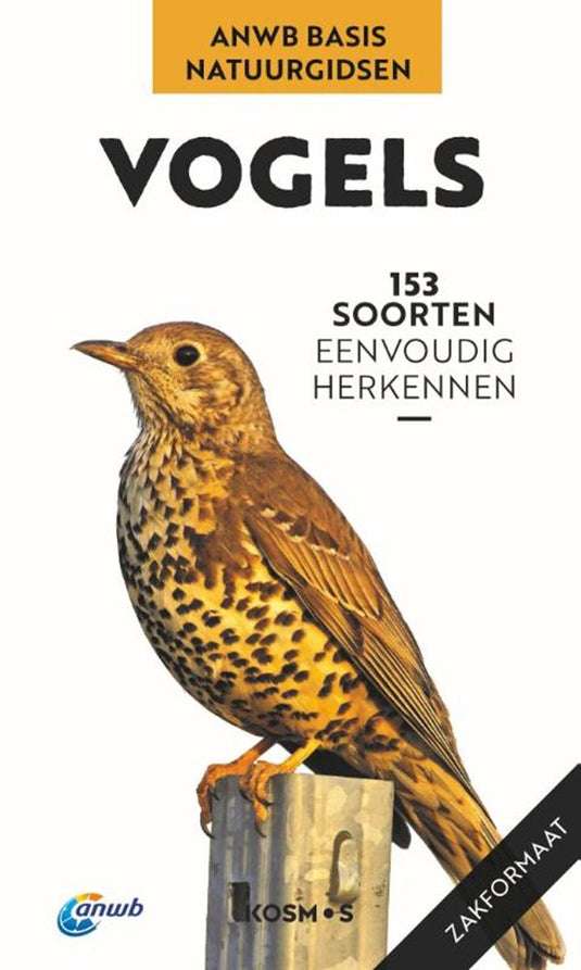 Anwb basis natuurgids - vogels.