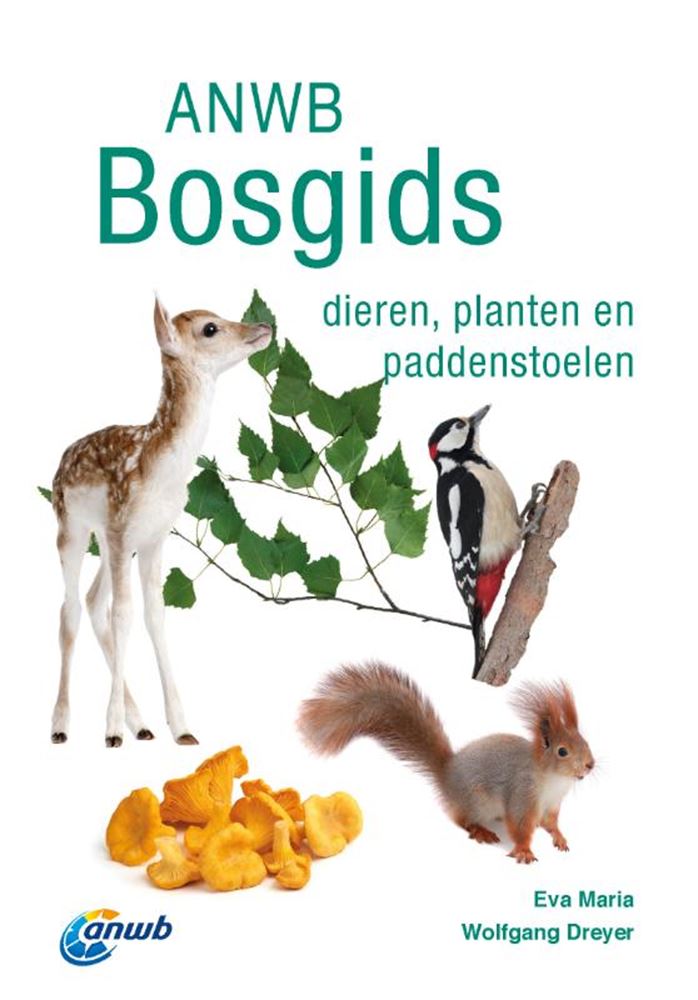 Afbeelding laden in galerijviewer, Anwb bosgids. volwassene
