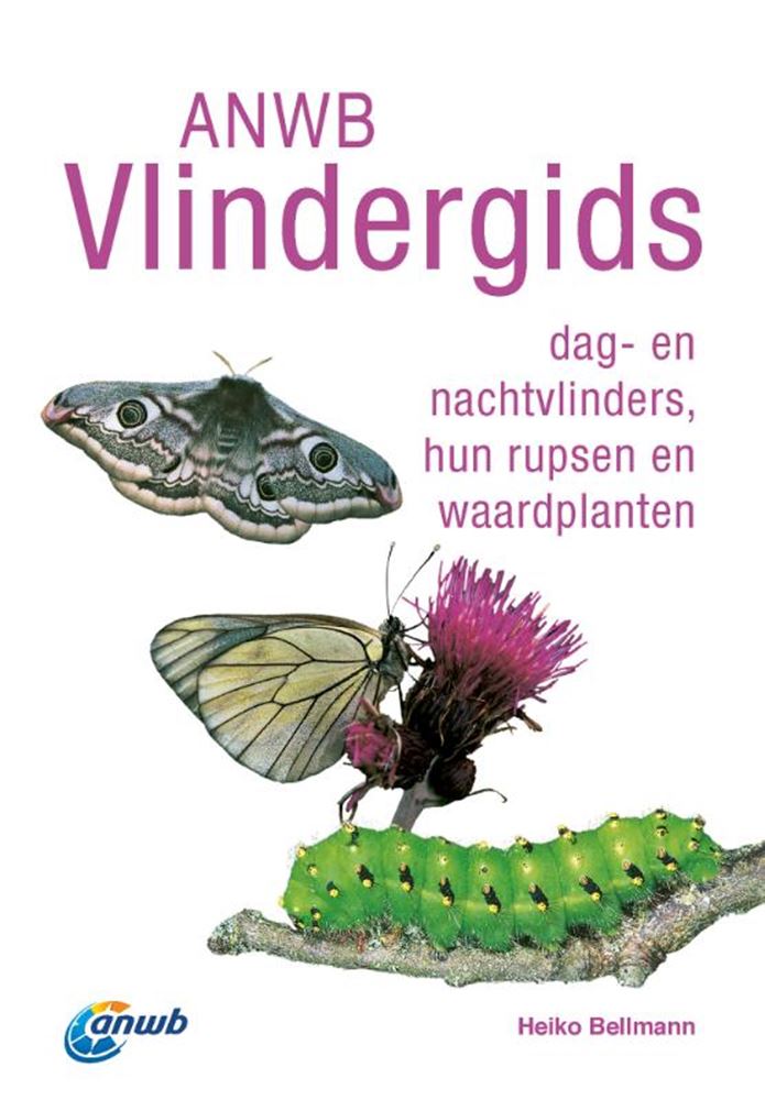 Afbeelding laden in galerijviewer, Anwb vlindergids volwassene
