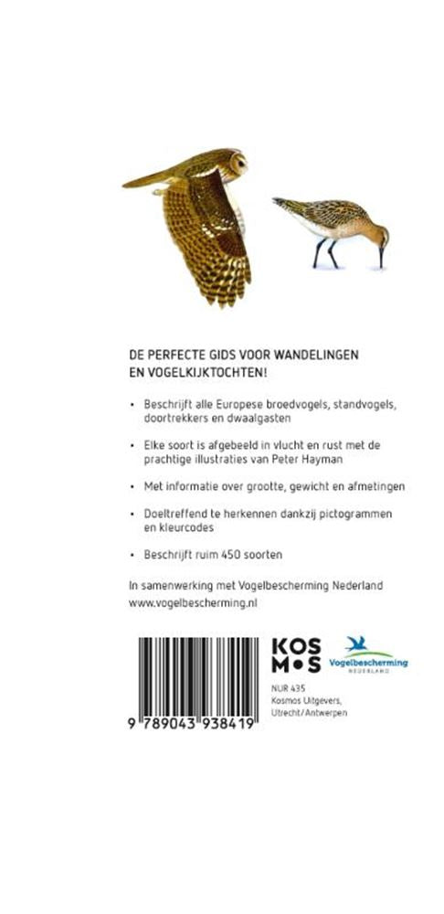 Hayman's zakgids vogels volwassene