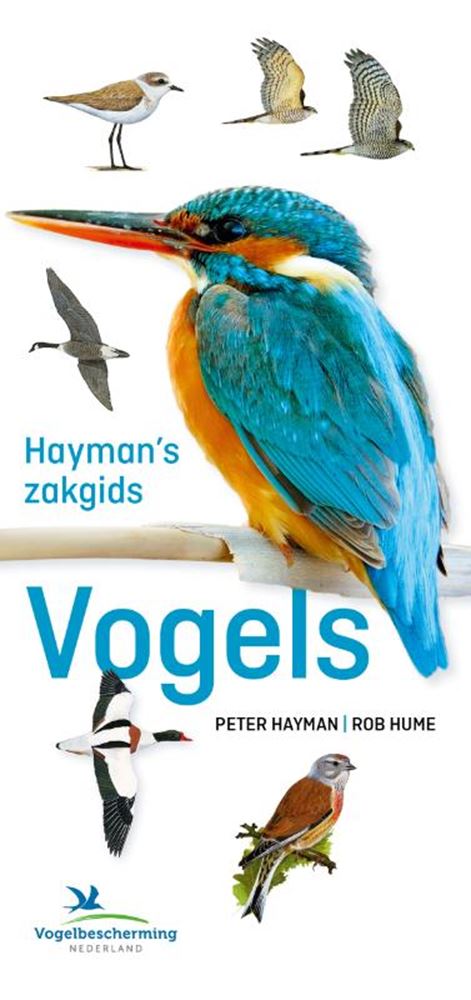 Afbeelding laden in galerijviewer, Hayman's zakgids vogels volwassene
