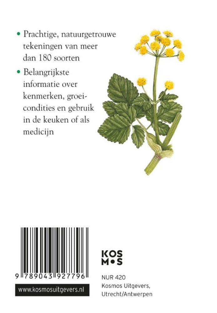 Afbeelding laden in galerijviewer, Compactgids kruiden volwassene
