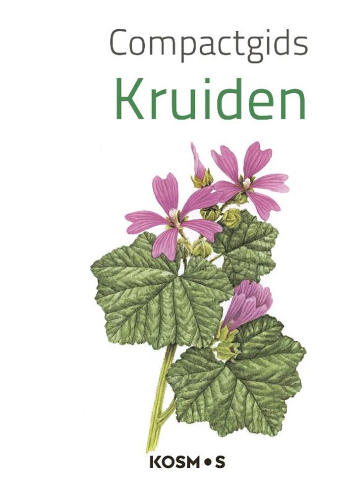 Afbeelding laden in galerijviewer, Compactgids kruiden volwassene
