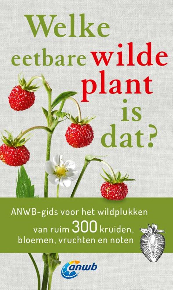 Afbeelding laden in galerijviewer, Welke eetbare wilde plant is dat?
