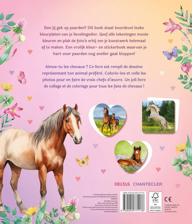 Afbeelding laden in galerijviewer, Deltas dream horses sticker parade - kleurboek

