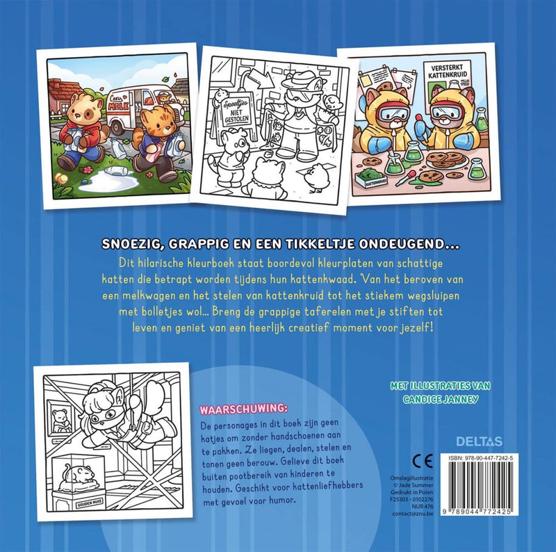 Afbeelding laden in galerijviewer, Deltas cat crimes - cozy kleurboek jade summer
